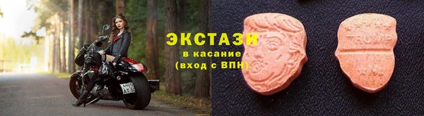 гидра Надым