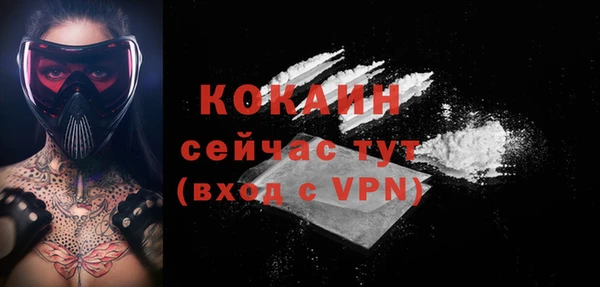 гидра Надым