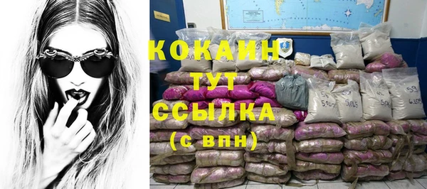 гидра Надым