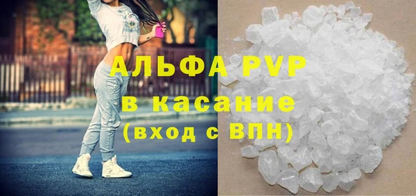 гидра Надым