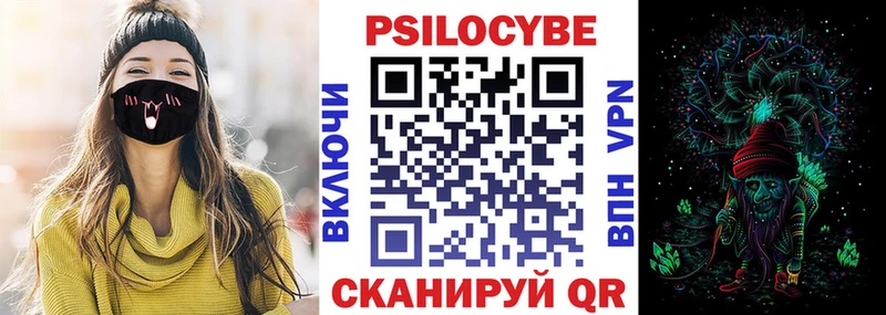 Купить  Грязи  Псилоцибиновые грибы Psilocybe 